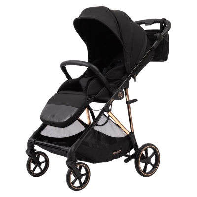 Прогулочная коляска Peppy Amici Black рама Gold (LX) 01